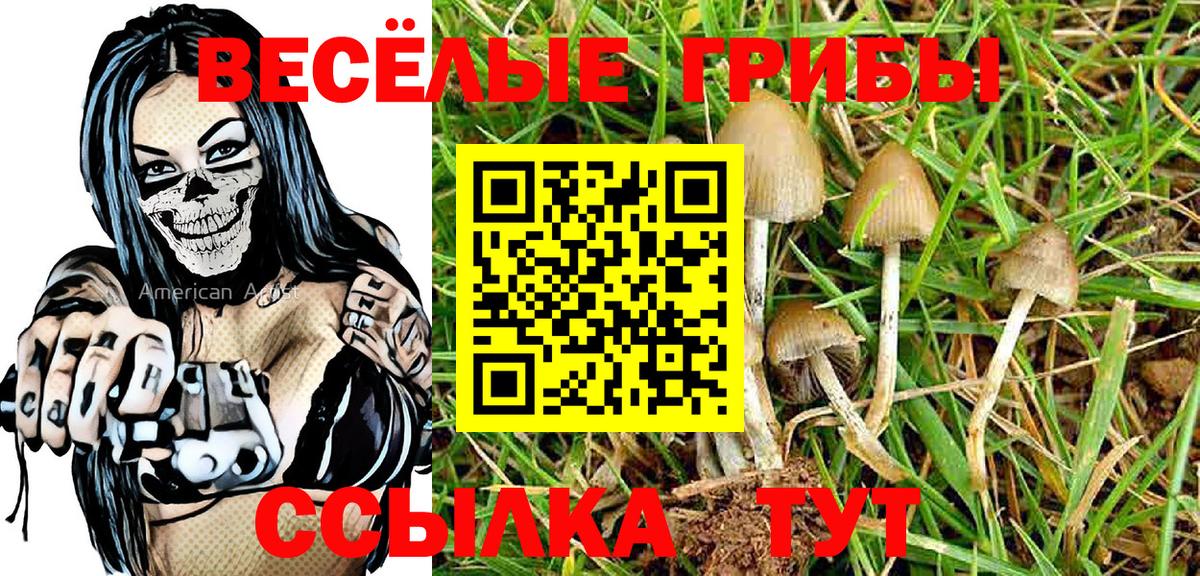 Хабаровск  Псилоцибиновые грибы Cubensis  Вход с VPN 